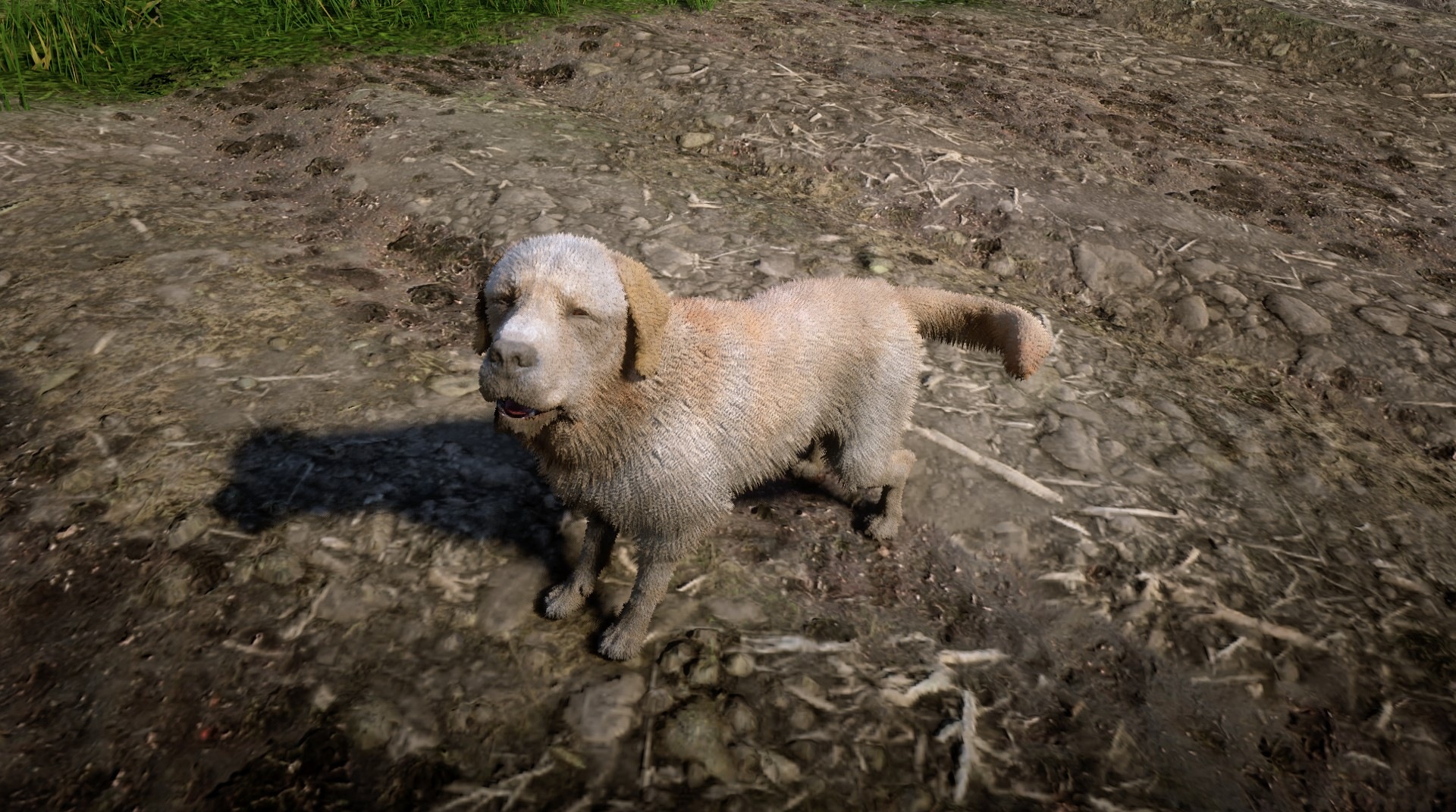 Labrador Retriever RED DEAD REDEMPTION 2 情報&攻略 wiki RDR2 atwiki